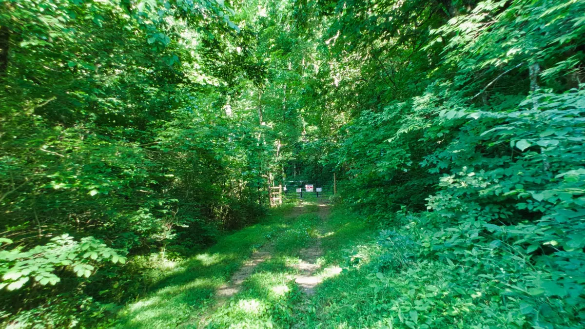 Ashland City, TN 37015,0 Pine Valley Rd