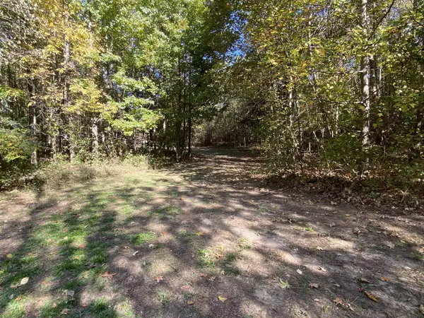 Beech Bluff, TN 38313,0 Bray Rd