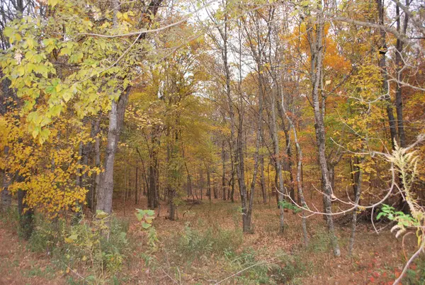 Bon Aqua, TN 37025,0 BY Blvd.