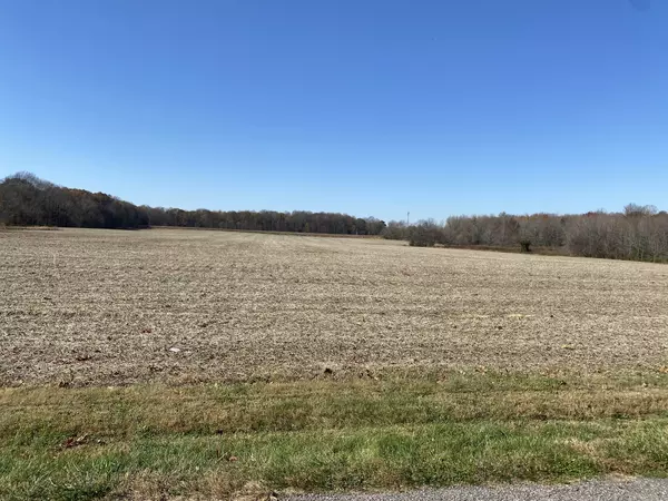 47 Maxie Jones Road, Springfield, TN 37172