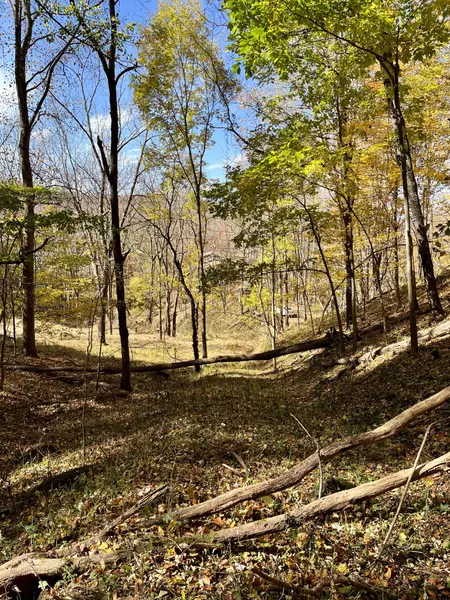 2 Culbertson Ln, Mountain City, TN 37683