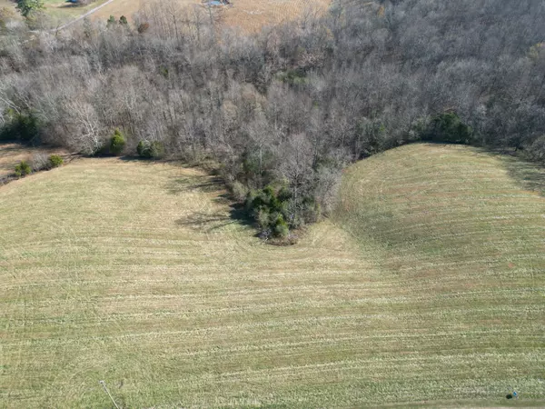 Smithville, TN 37166,0 Medlen Ln