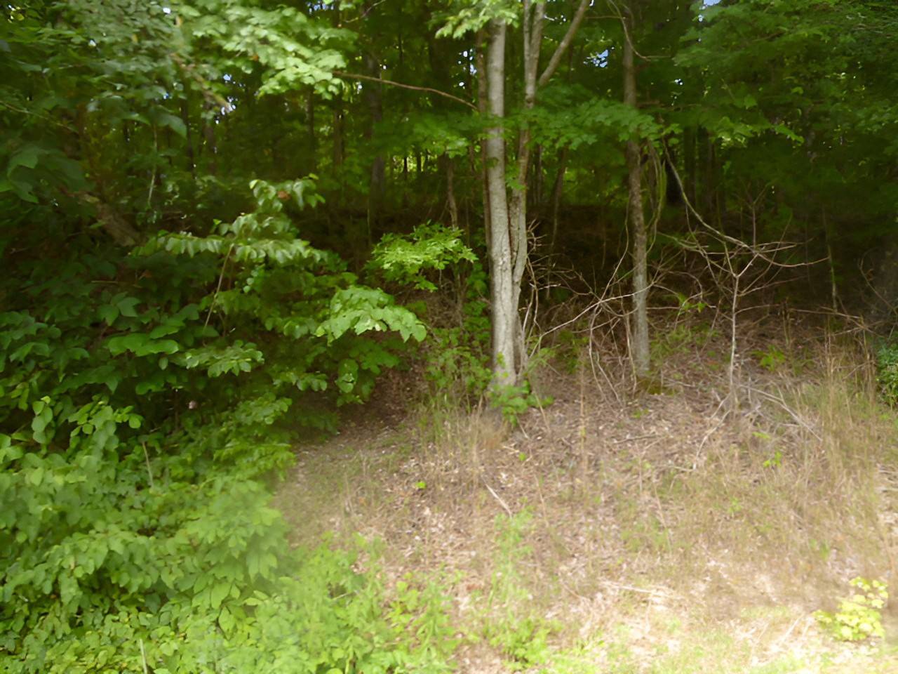 Mc Ewen, TN 37101,9333 Bold Springs Rd