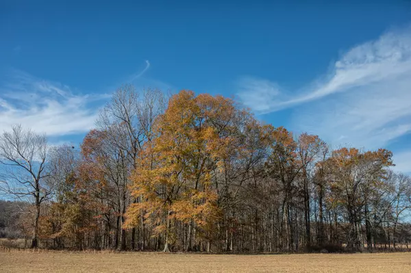 Centerville, TN 37033,764 Briar Pond Rd