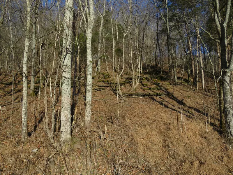 91 Carver Hollow Rd, Pleasant Shade, TN 37145