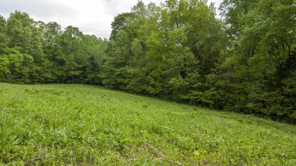 Vanleer, TN 37181,0 Murphy Hollow Rd