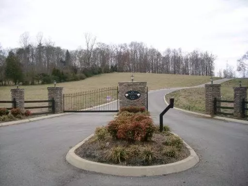 Spring City, TN 37381,0 Dogwood Cove Drive