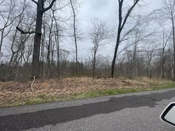 Bumpus Mills, TN 37028,1 Forest Trl