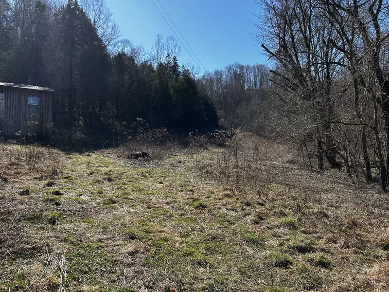 321 Peytons Creek Rd, Pleasant Shade, TN 37145