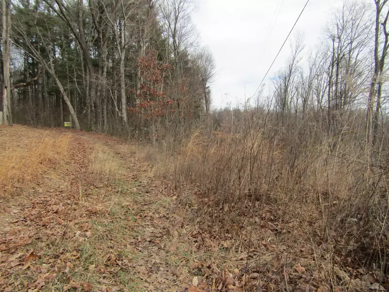 0 Buzzard Roost Rd, Jamestown, TN 38556