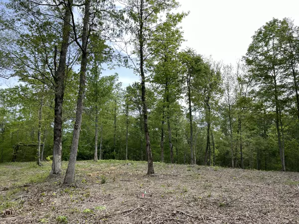 Primm Springs, TN 38476,0 Primm Ridge Rd