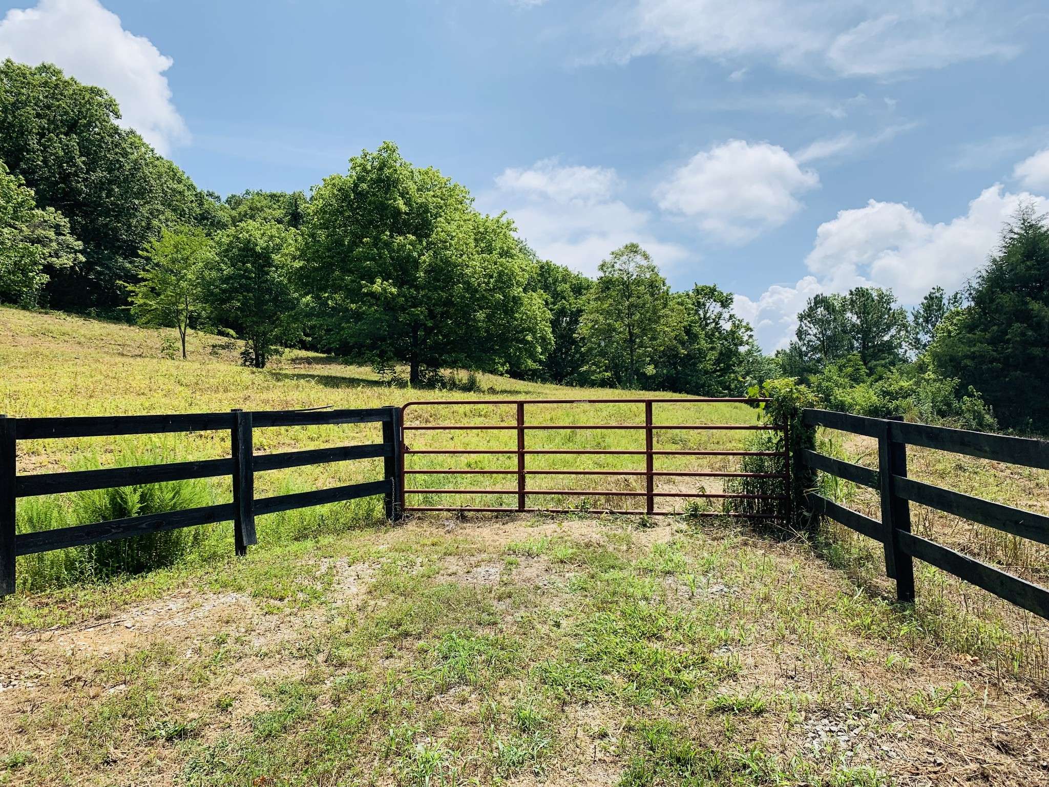 Cornersville, TN 37047,0 John Barnes Road