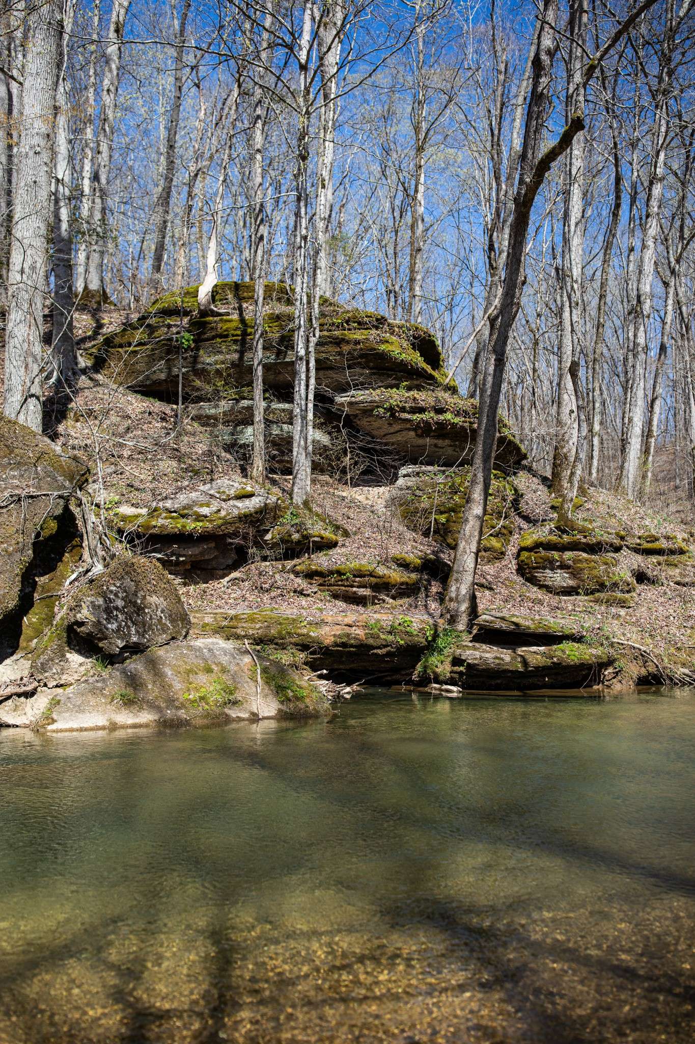 Nunnelly, TN 37137,5536 Old Mill Creek Rd