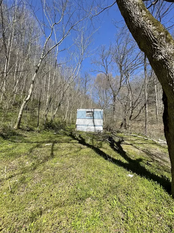 Pleasant Shade, TN 37145,0 Wilmore Hollow Rd