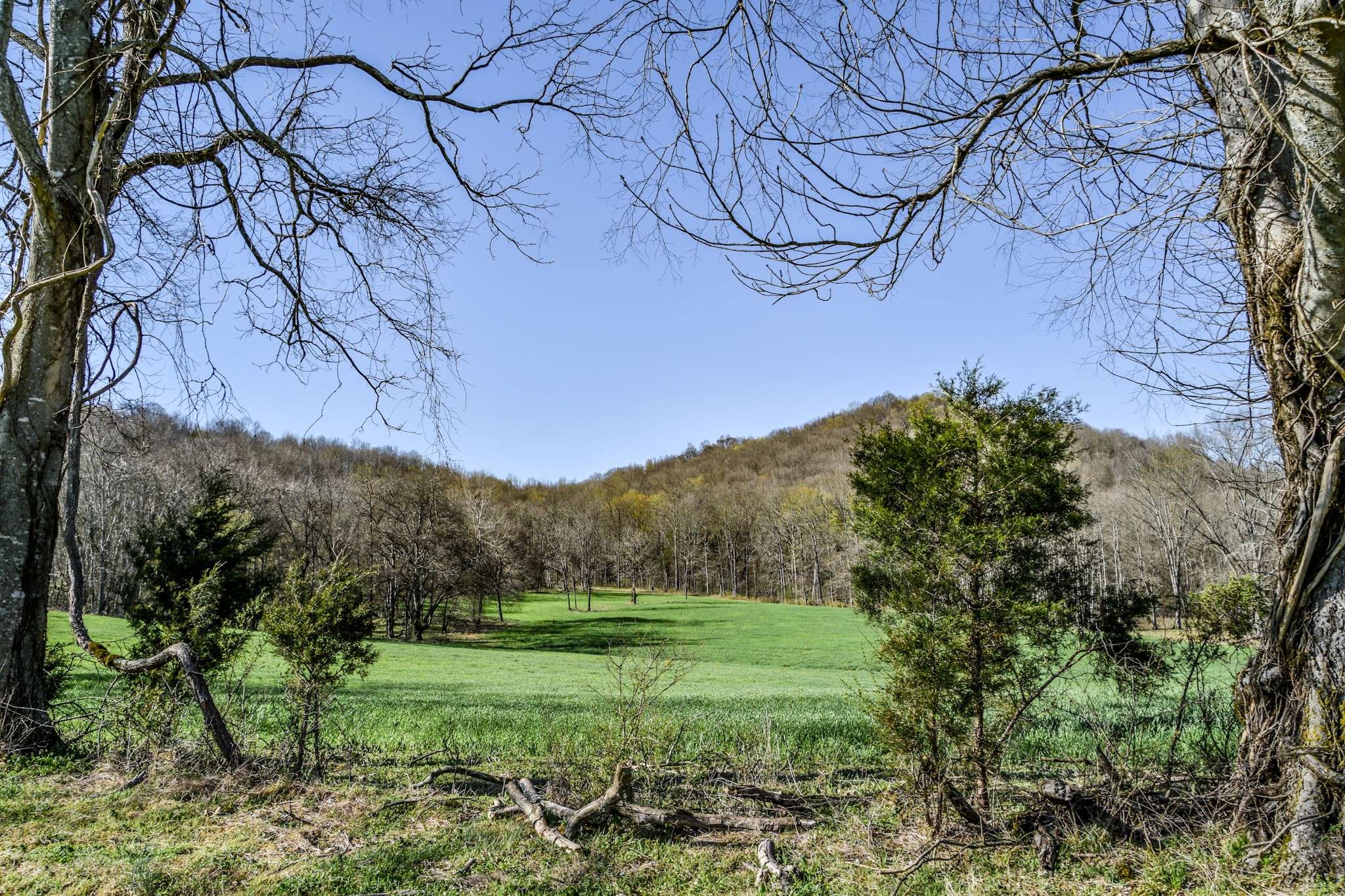 1950 Smith Bend Ln, Gainesboro, TN 38562