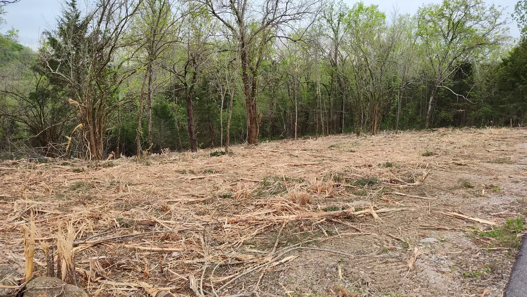 56 Harbor Court, Silver Point, TN 38582