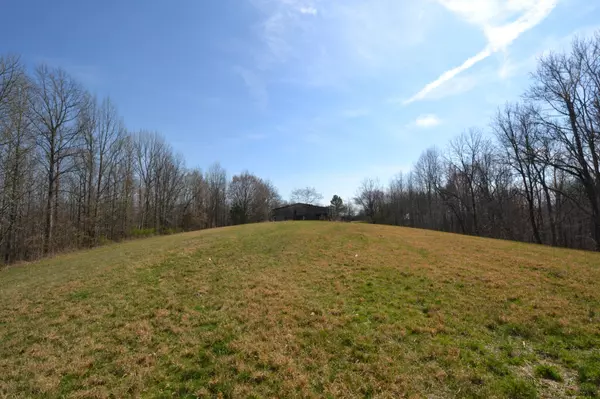 Chestnut Mound, TN 38552,3 Pea Ridge Rd