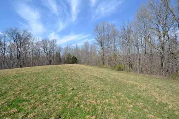 Chestnut Mound, TN 38552,3 Pea Ridge Rd