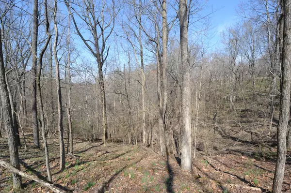 Chestnut Mound, TN 38552,2 Pea Ridge Rd