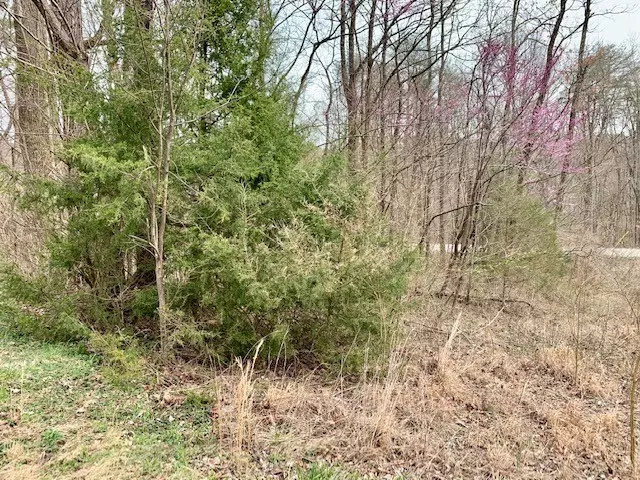 Spencer, TN 38585,0 Spencer Dr Lot 8