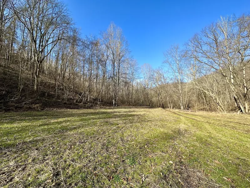 0 Hogsfoot Rd, Liberty, TN 37095