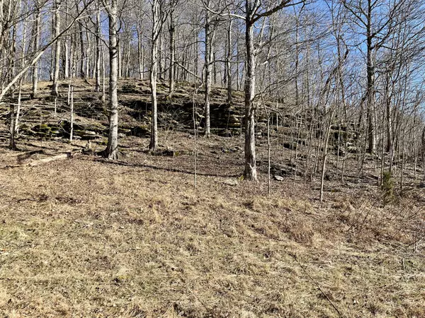 Bethpage, TN 37022,0 Duffer Hollow Rd