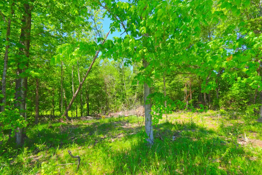 83 Gamaliel Rd, Red Boiling Springs, TN 37150