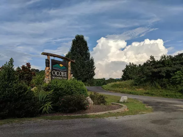 155 White Water Run Lane, Ocoee, TN 37361