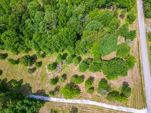 Charlotte, TN 37036,0 Promise Land Road Lot 2