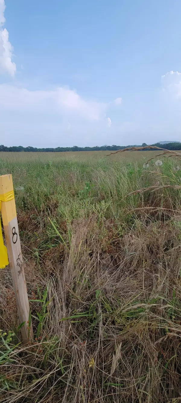 Readyville, TN 37149,0 Halls Hill Pike