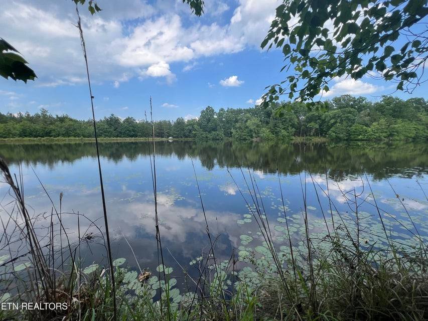 Deer Lodge, TN 37726,241 Star Lake Way