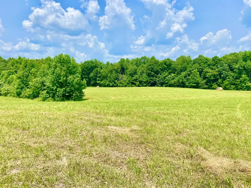 0 Pea Ridge Rd, Liberty, TN 37095