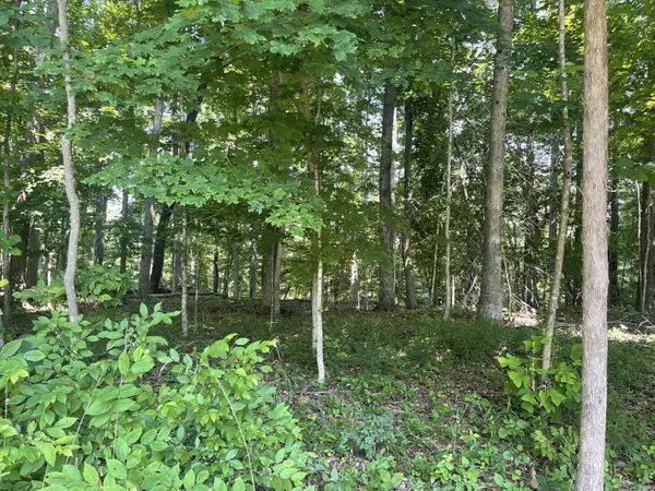 Manchester, TN 37355,0 Laurel Crown Rd