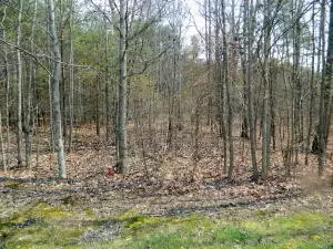 0 Stewart Lane, Rising Fawn, GA 30738