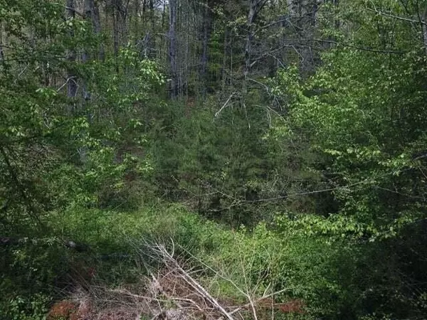 Rising Fawn, GA 30738,2004 Cloverdale Road