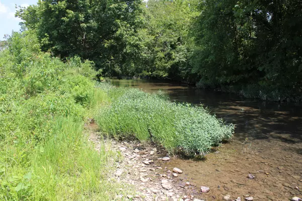 Minor Hill, TN 38473,0 Shoal Creek Rd