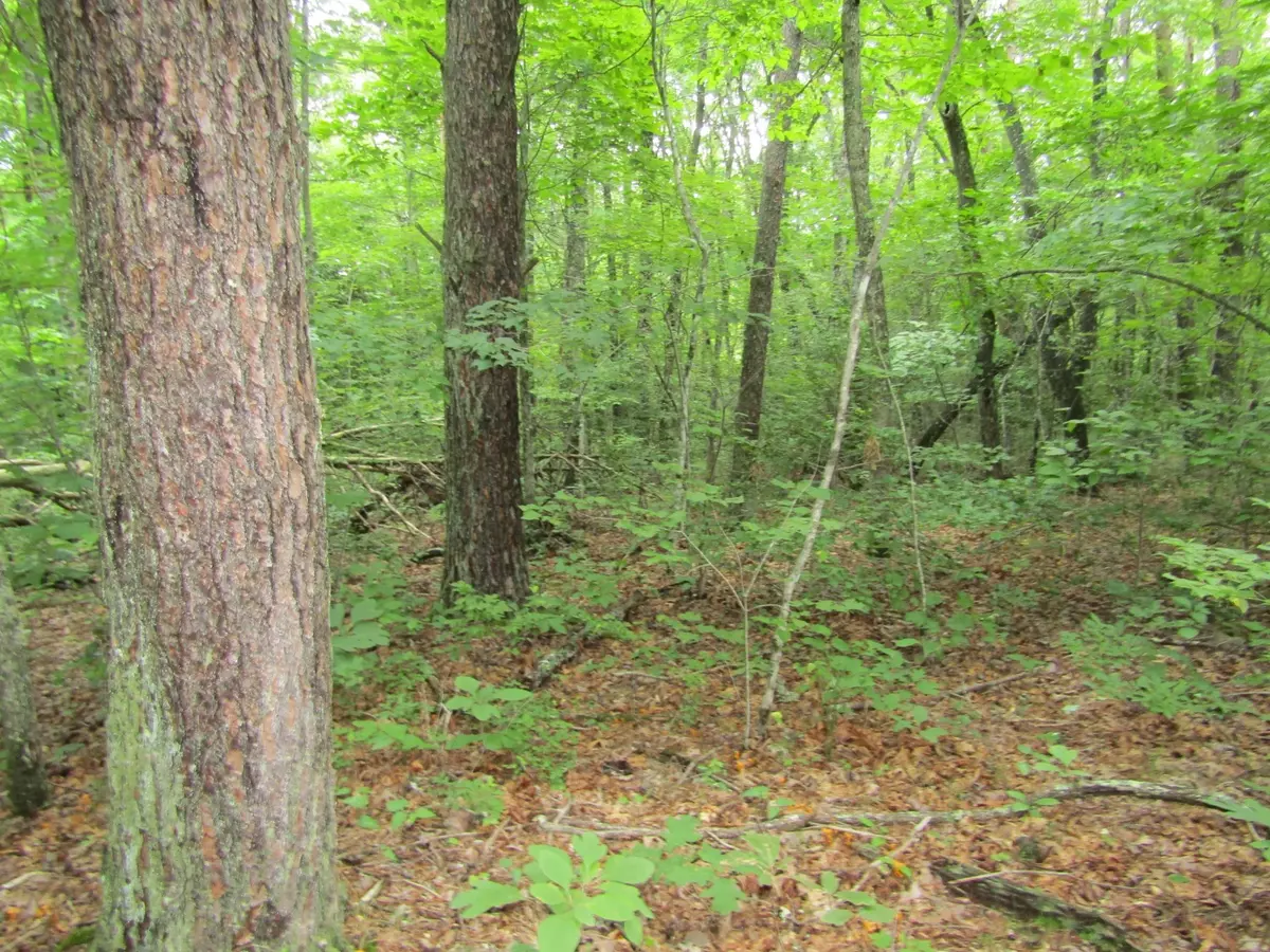 Monterey, TN 38574,0 Fern Place