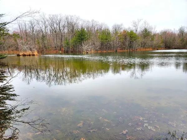 Tracy City, TN 37387,0 Old Falls Trail