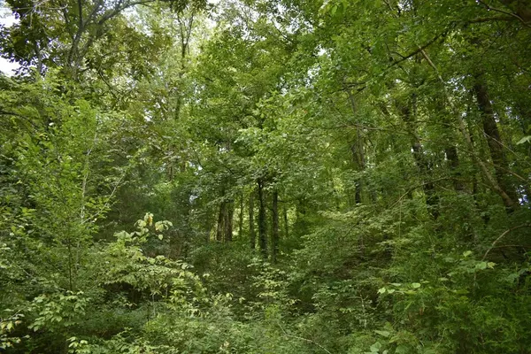 Pleasant Shade, TN 37145,0 Smith Hollow Ln