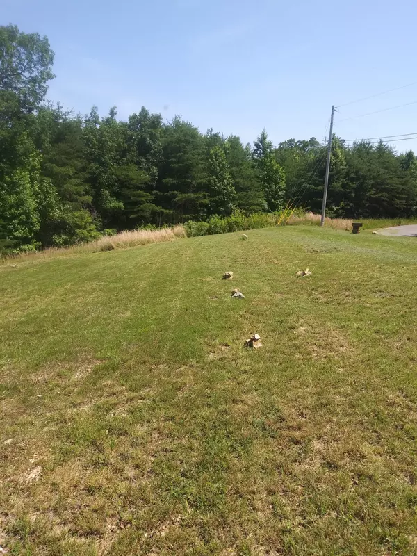 Waverly, TN 37185,210 Turtle Point Ln