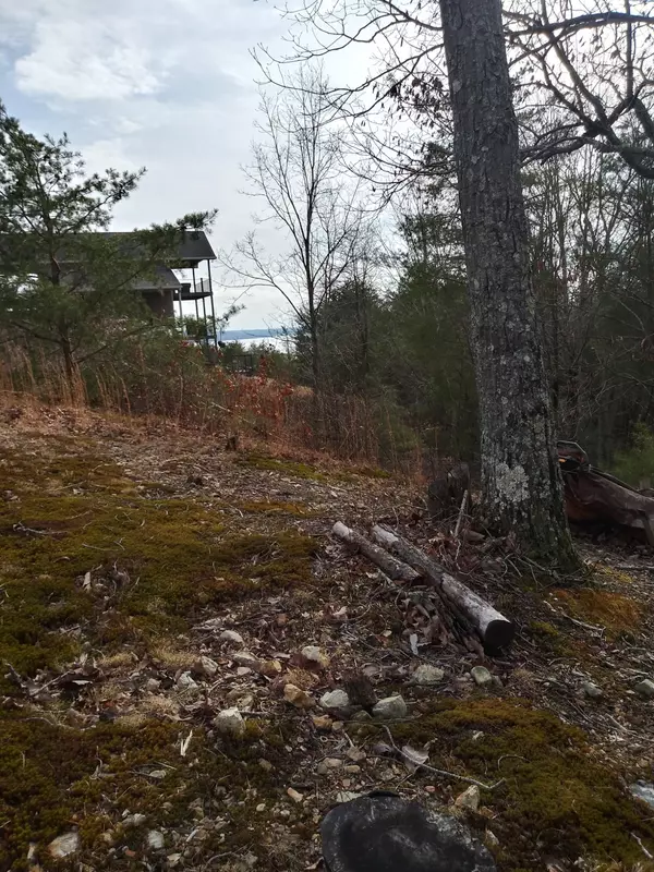 Waverly, TN 37185,210 Turtle Point Ln