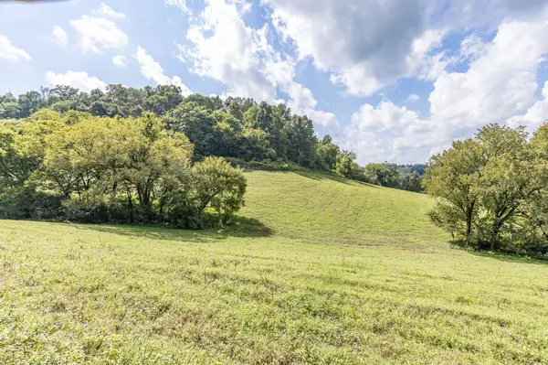 318 Robinson RD, Frankewing, TN 38459