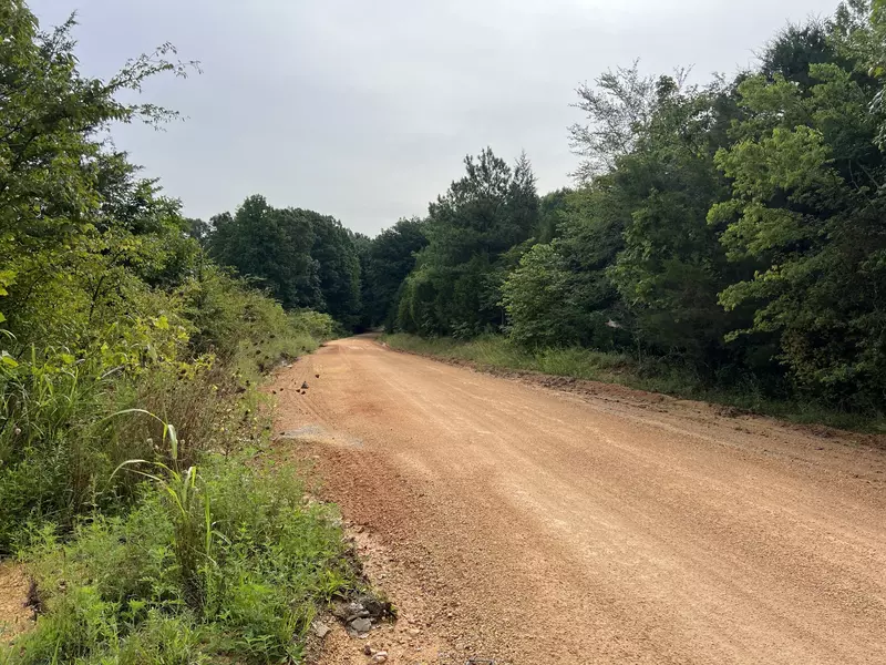 0 New Sheboss Road, Duck River, TN 38454