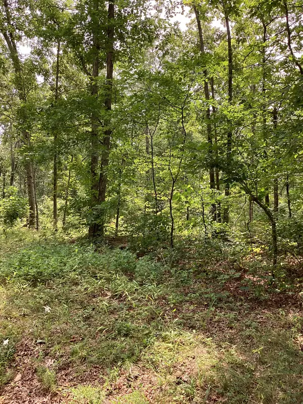 Santa Fe, TN 38482,0 Old Natchez Trace