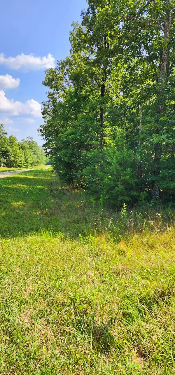 Altamont, TN 37301,0 Hunters Trail Way