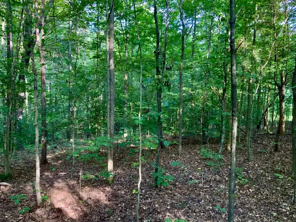 Dover, TN 37058,0 Pleasant Hill Road