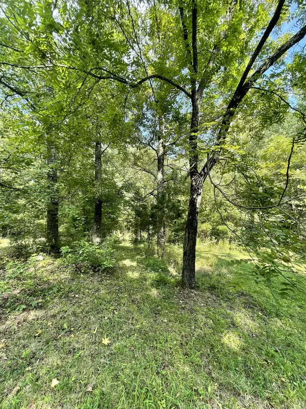 Waverly, TN 37185,1790 Dry Creek Rd