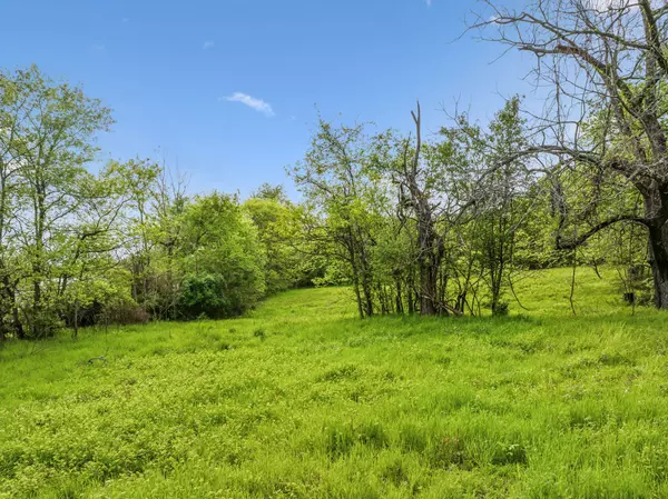 Arrington, TN 37014,8035 Horton Hwy