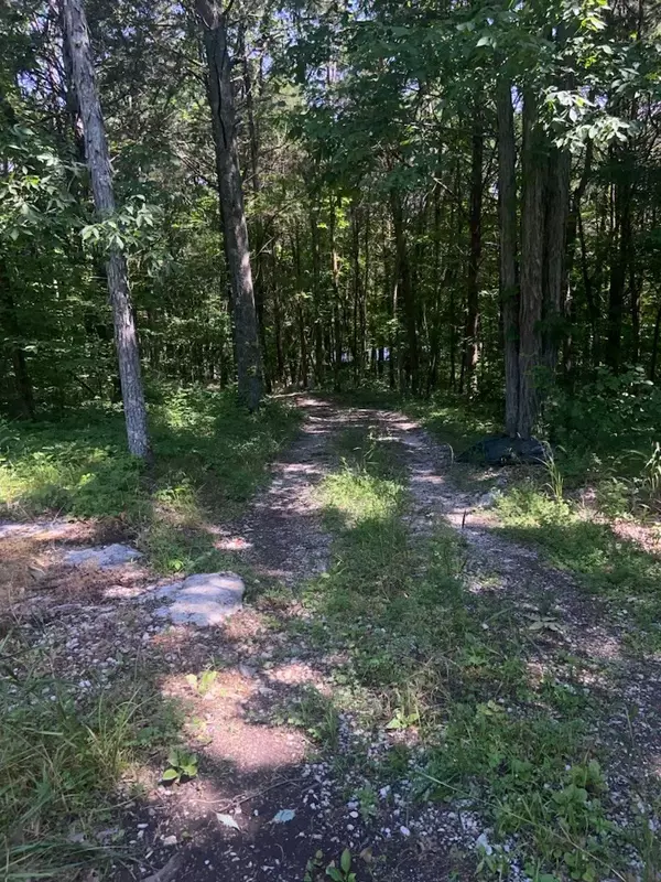 60 Switchboard Rd, Brush Creek, TN 38547