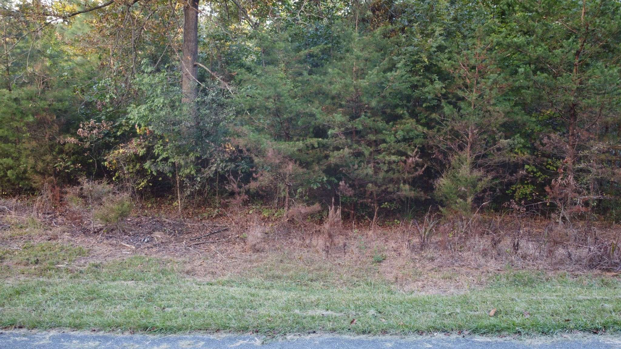 Sparta, TN 38583,0 Hidden River Lane